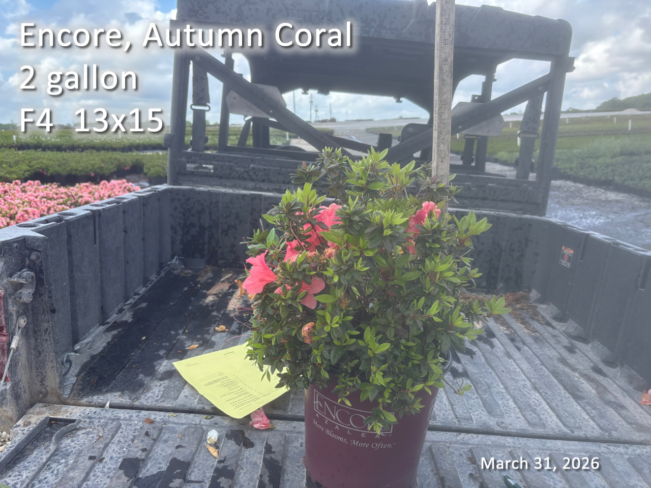 gallery/ecor2 f4 mar31.jpg